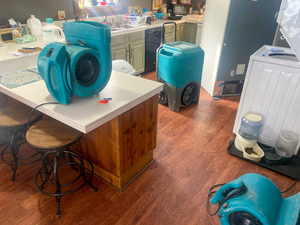 Best Commercial water damage restoration  in South Haven, MI