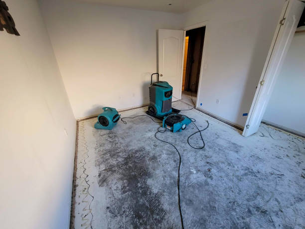 Best 24/7 water damage repair  in South Haven, MI