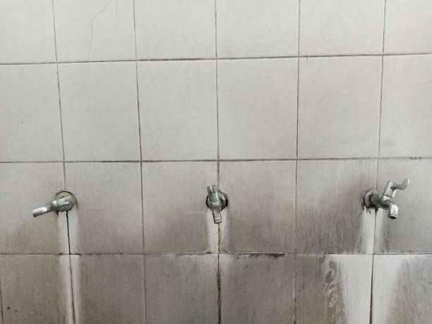 Best Residential water damage restoration  in South Haven, MI
