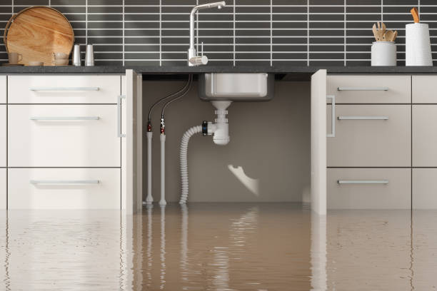 Best Flooded house restoration  in South Haven, MI