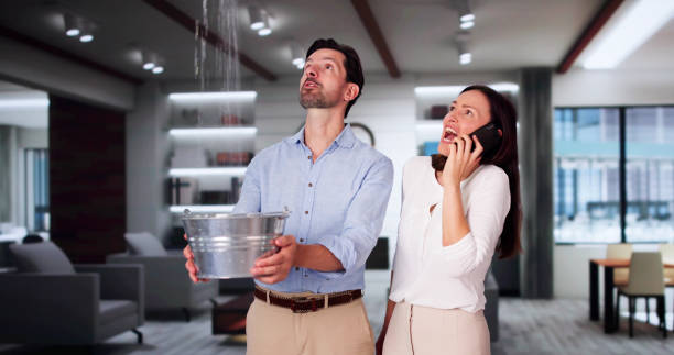 Best Water damage restoration process  in South Haven, MI